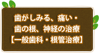 歯がしみる、痛い・歯の根、神経の治療【一般歯科・根管治療】