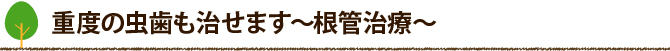 重度の虫歯も治せます～根管治療～