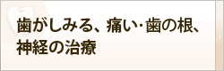 歯がしみる、痛い・歯の根、神経の治療