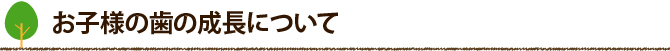 お子様の歯の成長について