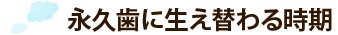 永久歯に生え替わる時期