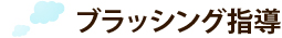 ブラッシング指導